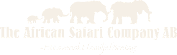 The African Safari Company