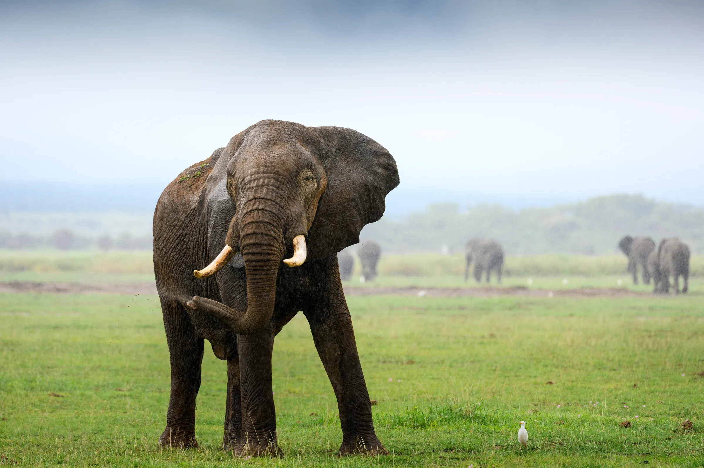 Tanzania