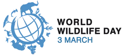 World Wildlife Day – enkla sätt att engagera sig