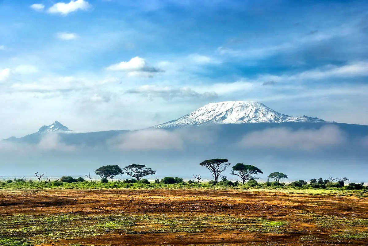 Bestiga Kilimanjaro