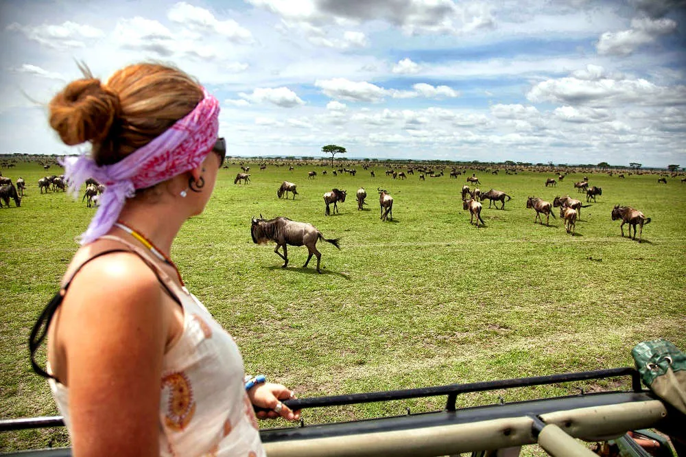 Serengeti nationalpark