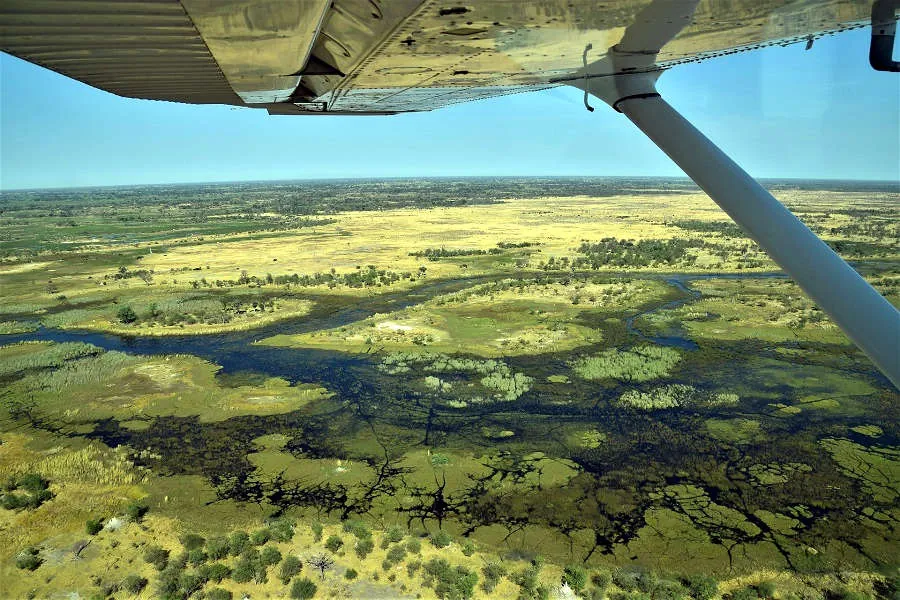 Safari i Afrika på hästrygg